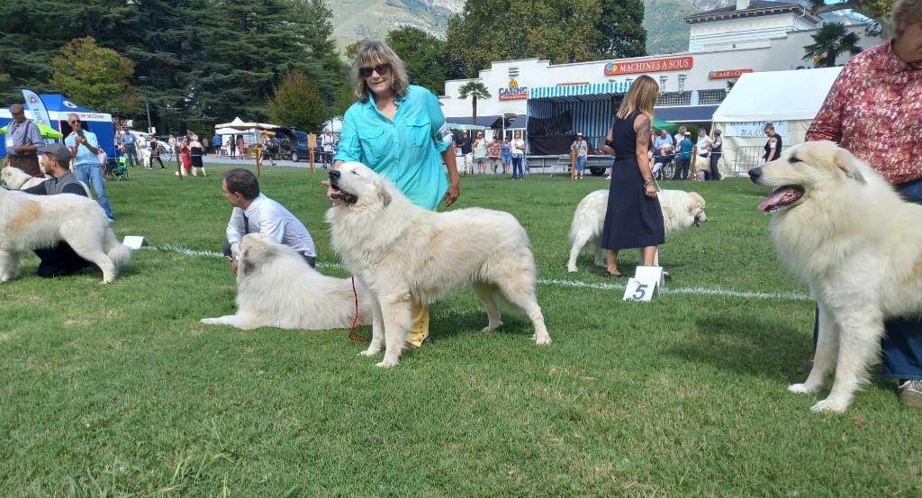 Carousse czym chata bogata - 5e Ex classe ouverte