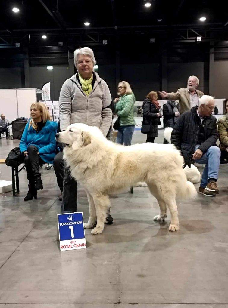 Carousse czym chata bogata - res CAC/CACIB