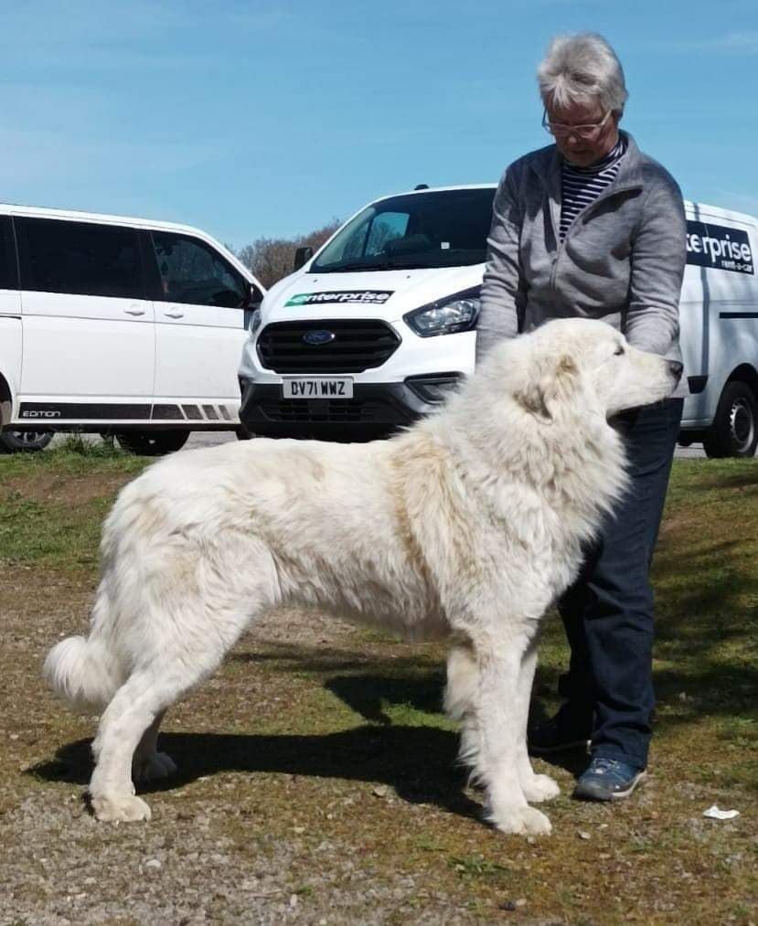 Carousse czym chata bogata - 2 ex res CAC classe intermediare