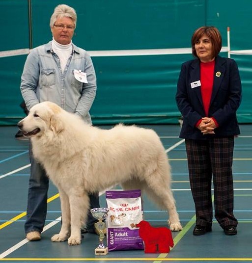 CH. Jaloux charmeur de la belletière - 1 Ex res CAC