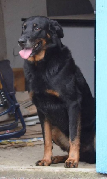 Publication : de la pointe du meingat