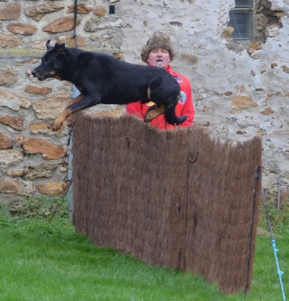 Publication : de la pointe du meingat