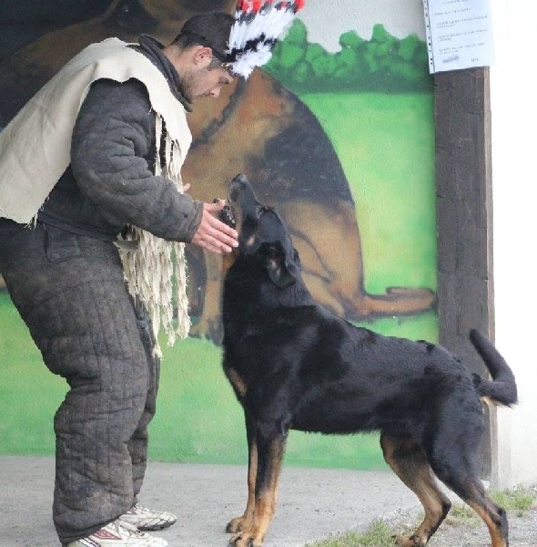 Publication : de la pointe du meingat