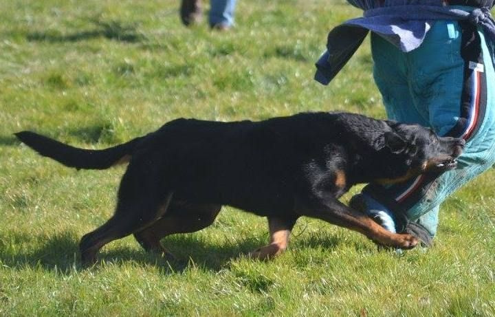 Publication : de la pointe du meingat