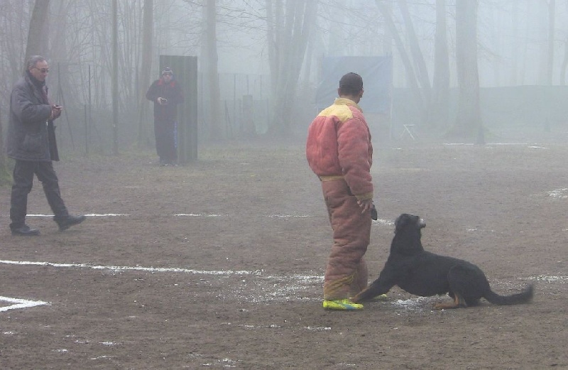 Ero dit loubard del mistero nero - Ring 1 - Excellent