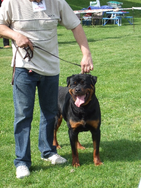 Publication : de l'Antre des Cabochards Auteur : Mme HENNEVEU