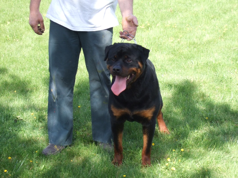 Publication : de l'Antre des Cabochards Auteur : Mme HENNEVEU