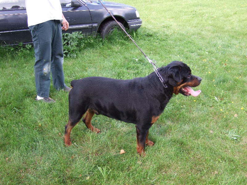 Publication : de l'Antre des Cabochards Auteur : Mme HENNEVEU