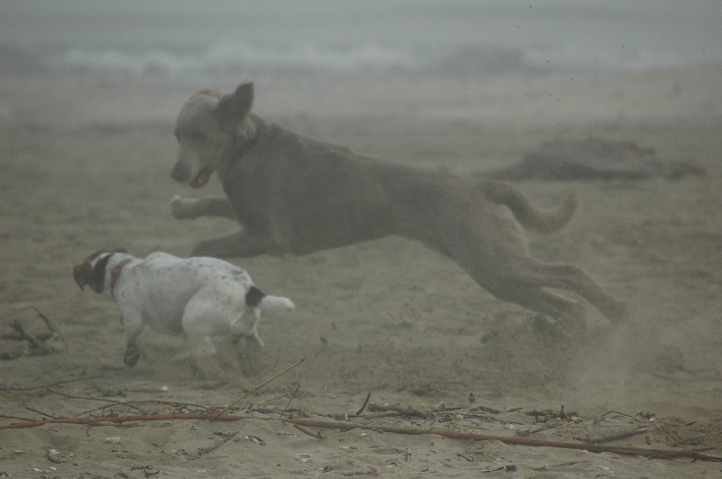 Publication : de Romatomé