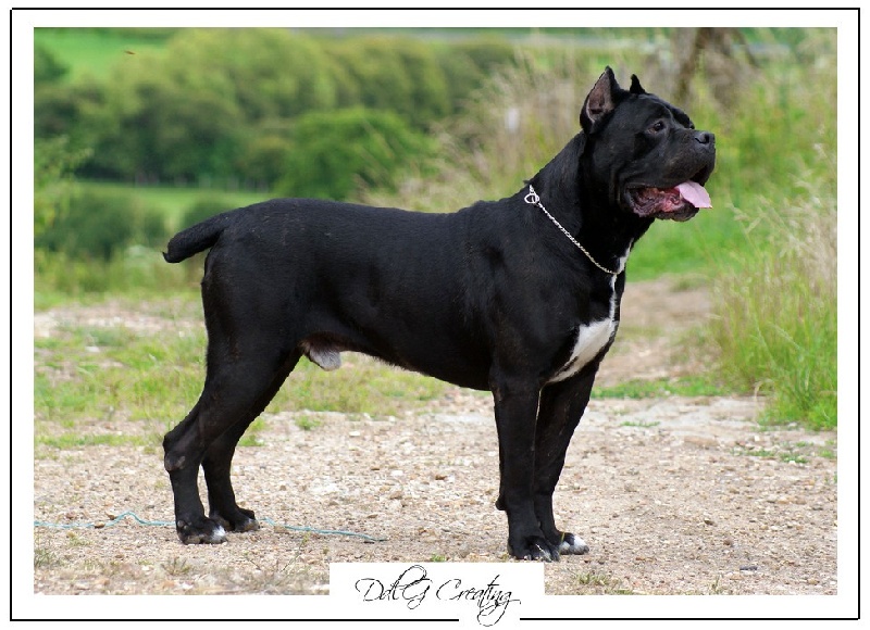 Publication : du domaine de la Goupillère