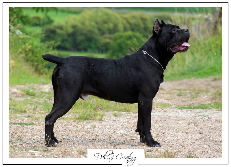 Publication : du domaine de la Goupillère