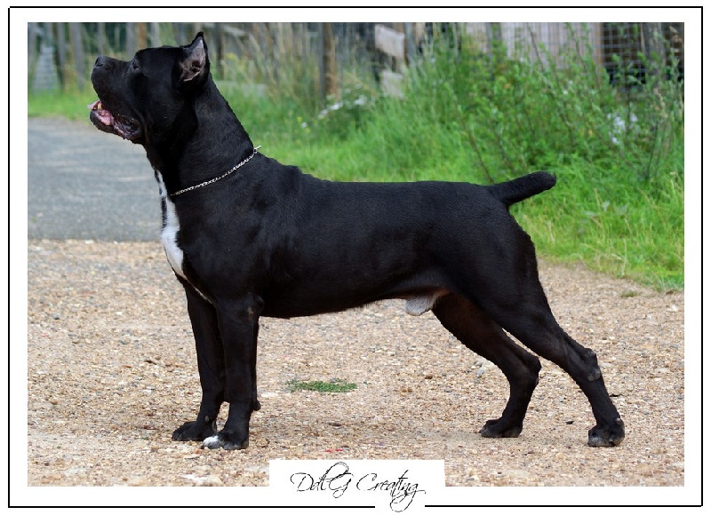 Publication : du domaine de la Goupillère