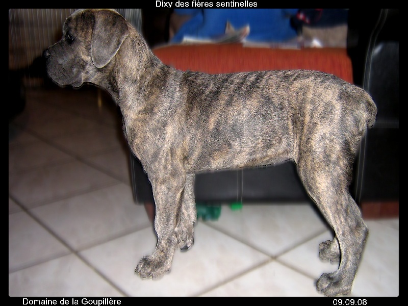 Publication : du domaine de la Goupillère