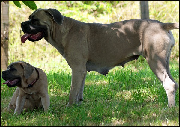 Publication : du domaine de la Goupillère