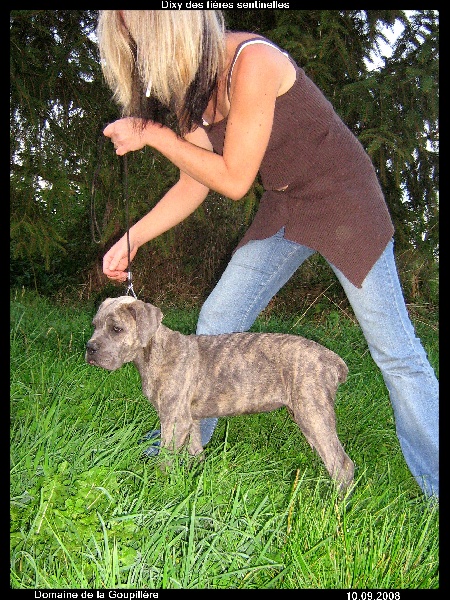 Publication : du domaine de la Goupillère