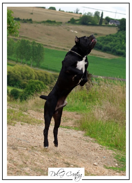 Publication : du domaine de la Goupillère