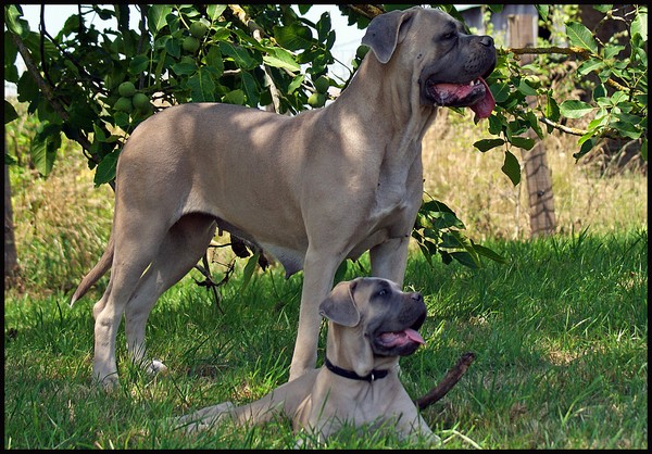 Publication : du domaine de la Goupillère