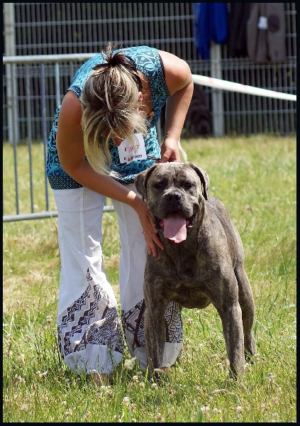 Publication : du domaine de la Goupillère