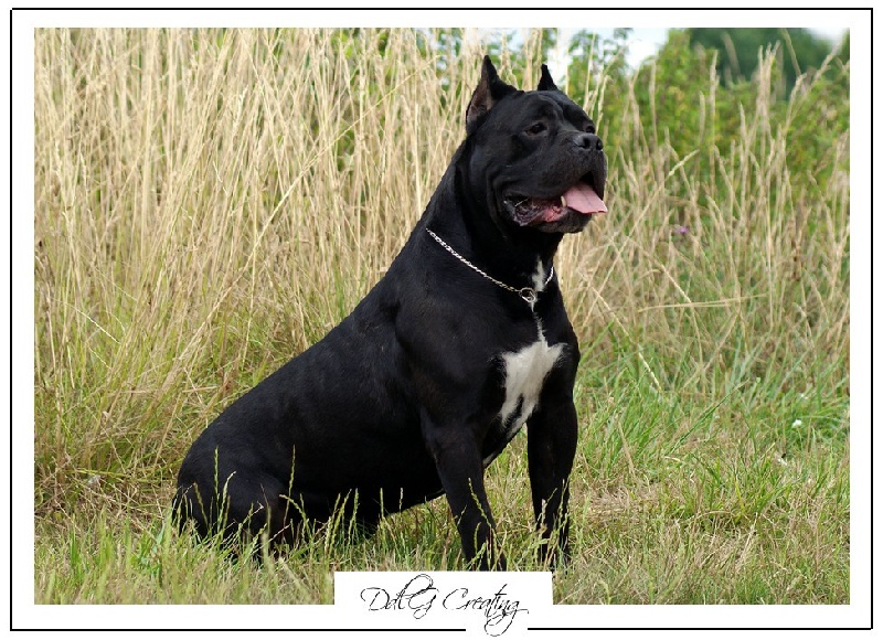 Publication : du domaine de la Goupillère