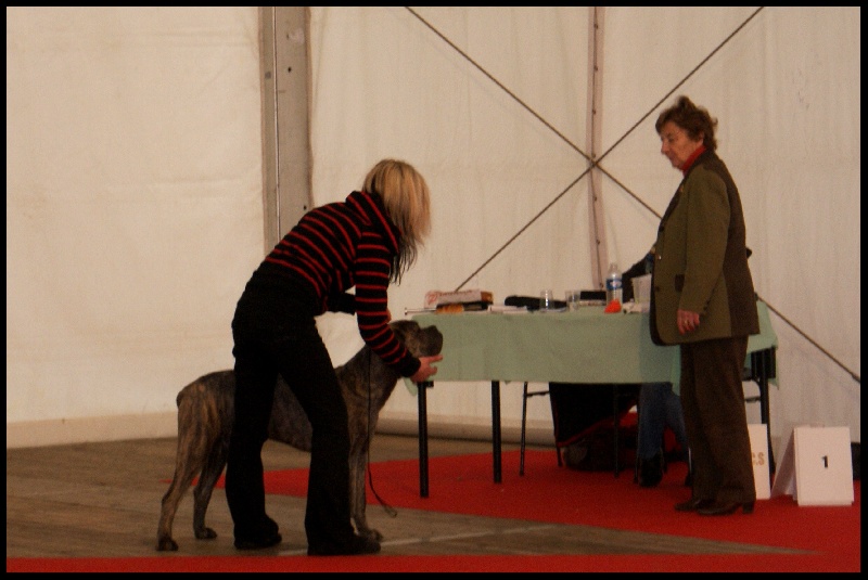 Dixy des fières sentinelles - très prometteur