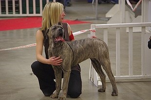 Dixy des fières sentinelles - très prometteur