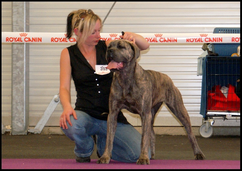 Dixy des fières sentinelles - 3e tres bon