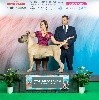 - Championnats du Monde 2018 !