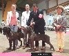 - Spéciale Cane Corso Chartres 10/06/2018