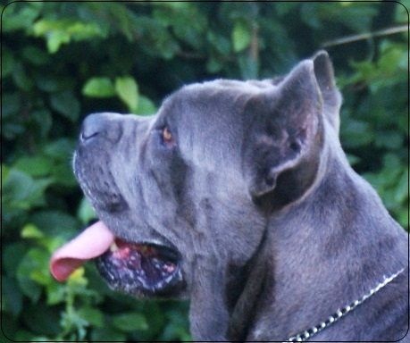 Publication : des Dunes Des Sages Auteur : Audrey GUERIN