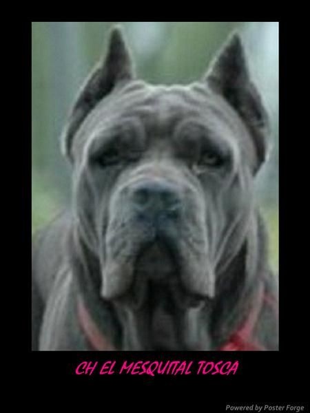 Publication : des Dunes Des Sages Auteur : Audrey GUERIN