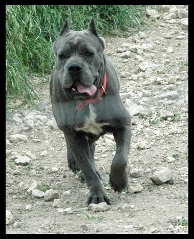 Publication : des Dunes Des Sages Auteur : Audrey GUERIN