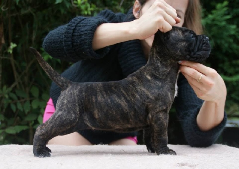 Publication : des Dunes Des Sages