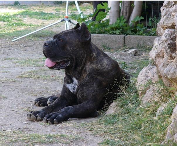 Publication : des Dunes Des Sages