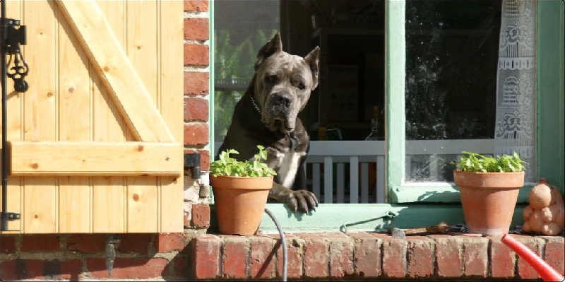 Publication : des Dunes Des Sages Auteur : Audrey GUERIN