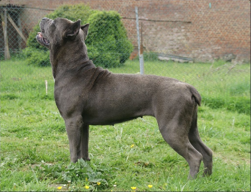 Publication : des Dunes Des Sages Auteur : Audrey GUERIN