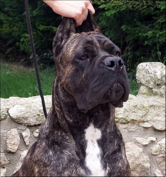 Publication : des Dunes Des Sages