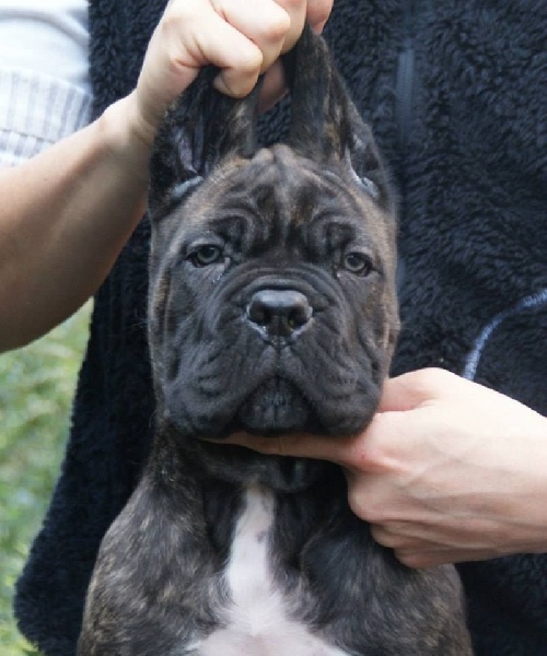 Publication : des Dunes Des Sages