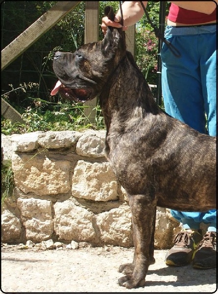 Publication : des Dunes Des Sages