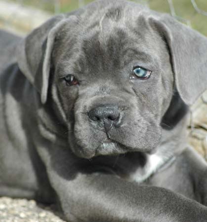 Publication : des Dunes Des Sages Auteur : Audrey GUERIN