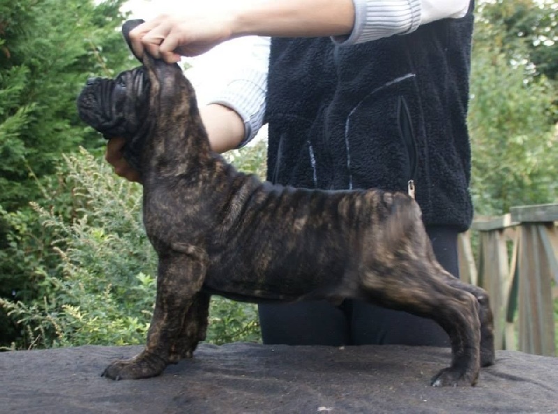 Publication : des Dunes Des Sages