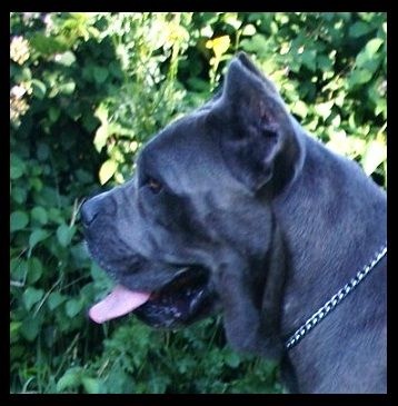 Publication : des Dunes Des Sages Auteur : Audrey GUERIN