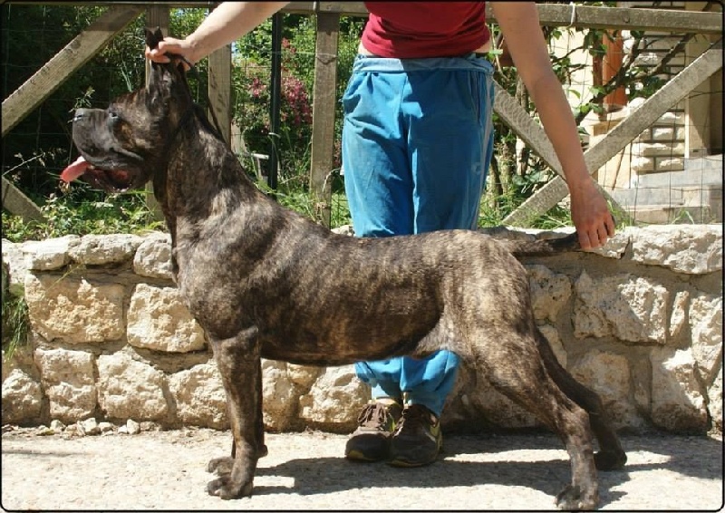 Publication : des Dunes Des Sages