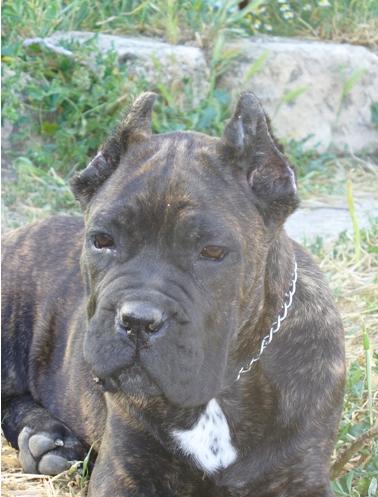 Publication : des Dunes Des Sages