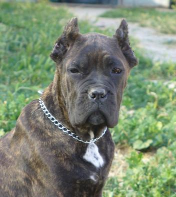 Publication : des Dunes Des Sages