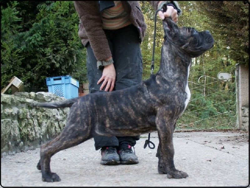 Publication : des Dunes Des Sages