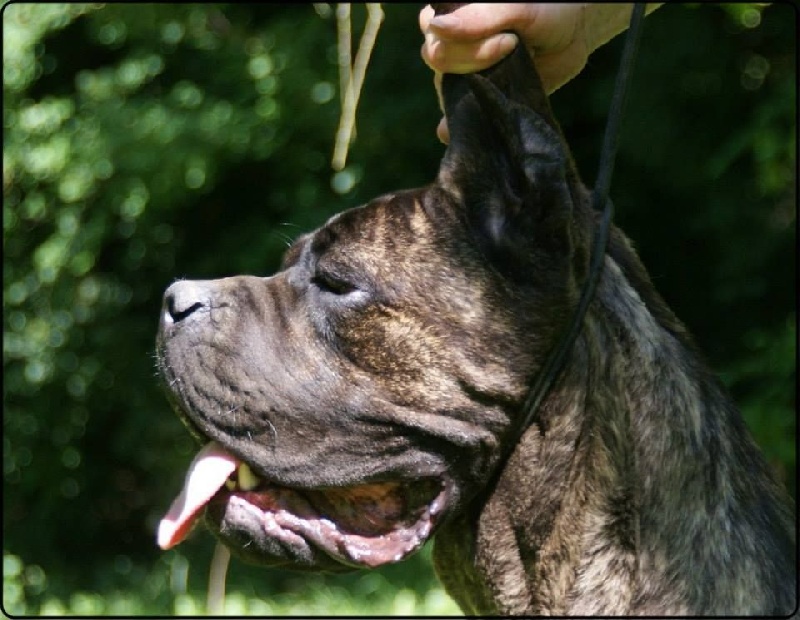 Publication : des Dunes Des Sages