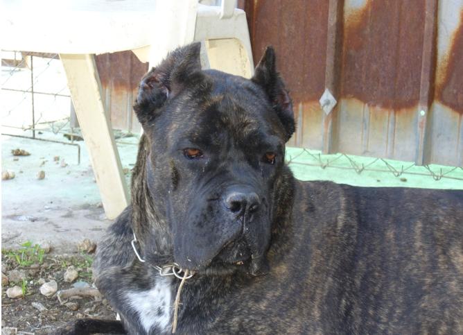 Publication : des Dunes Des Sages