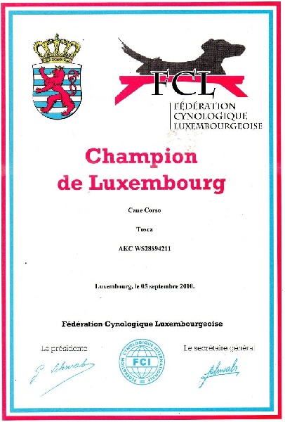 Publication : des Dunes Des Sages Auteur : Audrey GUERIN