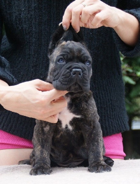 Publication : des Dunes Des Sages