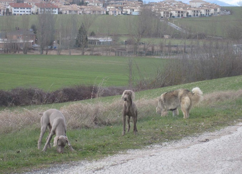 Publication : de Memorias de África Auteur : África de la Fuente